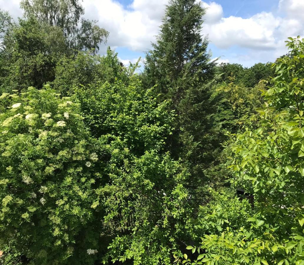 Vakantie Appartement In Luxemburg Berbourg المظهر الخارجي الصورة